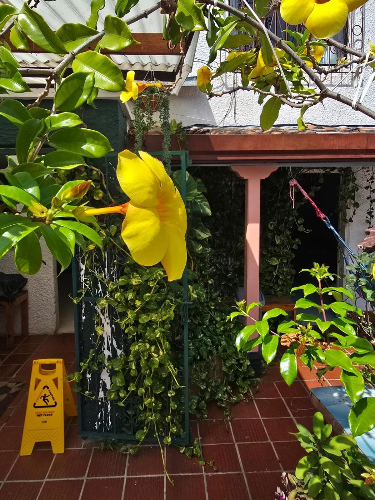 Tatami Hostel Bucaramanga Esterno foto